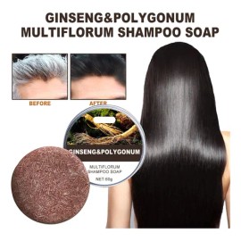 Champú Oscurecedor En Barra L Polygonum Essences Hair Darken