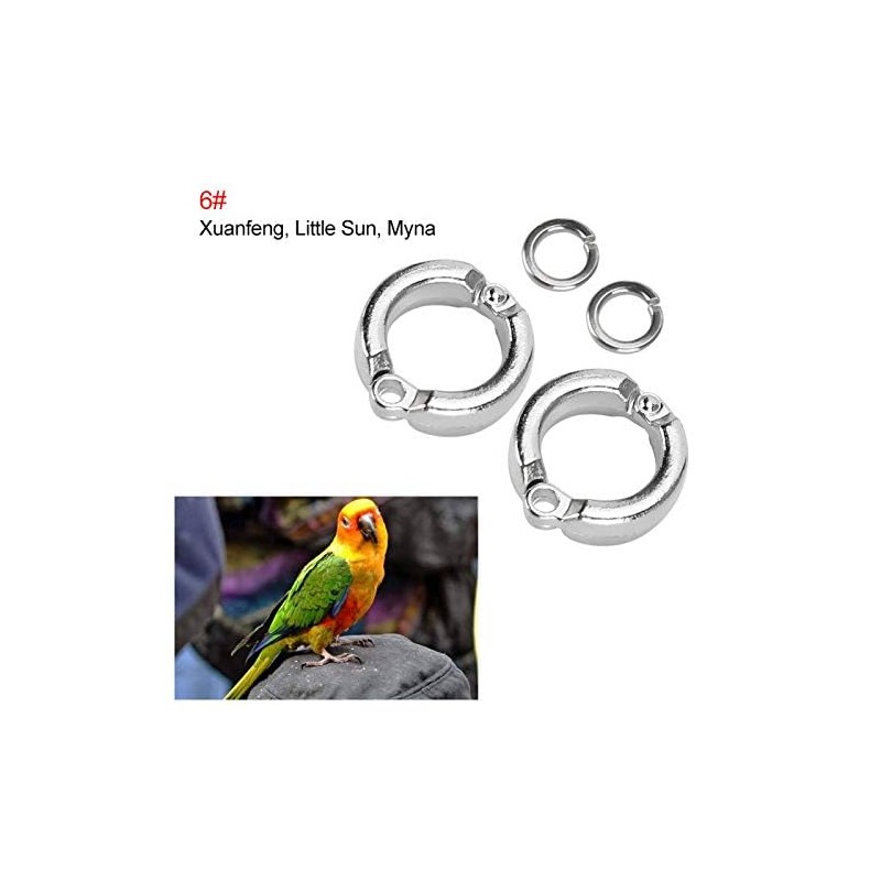 10Pcs Bird Foot Rings Metal Parrot Leg Ring Outdoor Fly