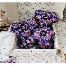 Purple Country Cowgirl Dog Harness XS