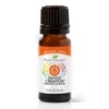 Plant Therapy Chakra 2 Joyful Creation (Sacral Chakra) Essential Oil
