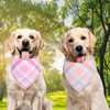 QUQULE Dog Bandana Girl Large 2PCS, Pink Blue Spring Scarf,
