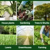 Elm Dirt's Bloom Juice for All Flowering Plants (1 Bottle)