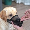Dog Muzzle Anti Biting Barking - Soft Air Mesh Breathable
