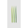 ZEUP 920942 Leaf POOLEAF 3 Piece Rollerball Pen