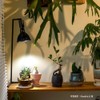 【BARREL Official】Plant Cultivation LED Light NEO AMATERAS-20W