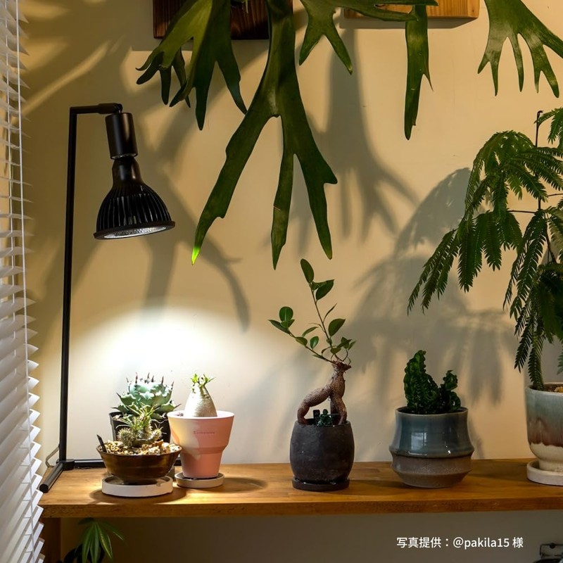【BARREL Official】Plant Cultivation LED Light NEO AMATERAS-20W