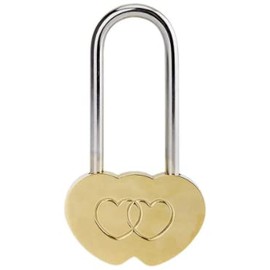 LIUSM 50mm Double Heart Padlock,Love Lock Without Key for Lovers Wedding,Valentines,Anniversary,Travel (NO Key)