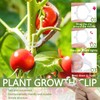 SANOU Tomato Hooks Pack of 100 Tomato Hooks with 60