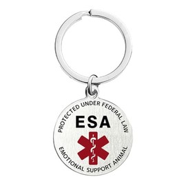 RENYILIN Stainless Steel Round Medical Alert Emergency First Aid Key Chain (ESA & 1)