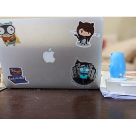 Limited Number Of Adorable GoLang Gopher Mascot Figurine, Perfect Developer Gift