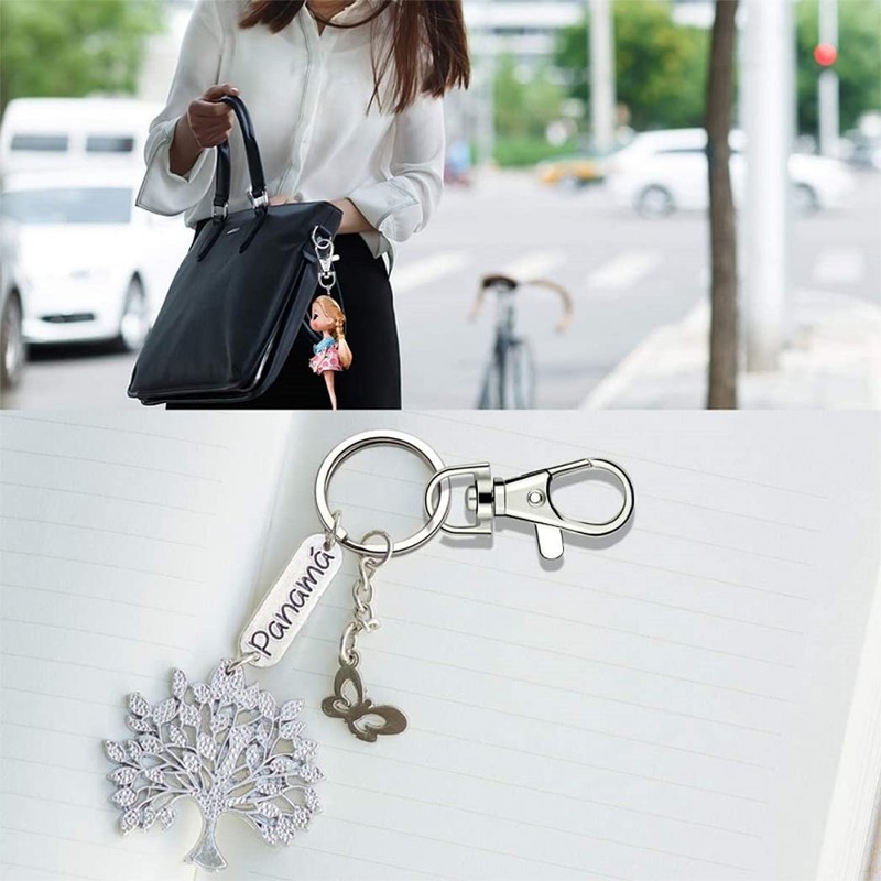 HappyHome Keychain, Nascan Swivel, Snap Hook, 1.2 inches (30 mm),