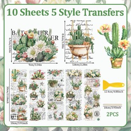 WANDIC 10 Sheets Rub On Transfer Sticker, Succulent Plants Decals Cactus Waterproof Furniture Stickers for Table Water Bottle DIY Craft, 11.8 * 3.9in