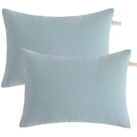 BEDSUM 2 Pack Pillows, 13"x18" Microfiber Pillows for Travel, Pets, Soft and Machine Washable Small Pillows for Neck, Wrist, and Knee Comfort, Sea Green