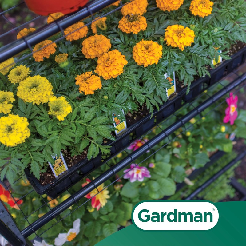 Gardman R687 4-Tier Mini Greenhouse, 27" Long x 18" Wide