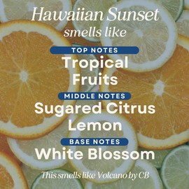 Scented Mop Soap - Floor Cleaner for Home - Hotel Luxury Scents:_Hawaiian Sunset