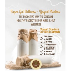 By Holistic Works L. Reuteri Yogurt Fermenting Culture Kit ProBiotic L. Reuteri starter
