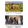 Elephant Magic DIN A5 Desk Calendar for 2022 Elephants Seelenzauber
