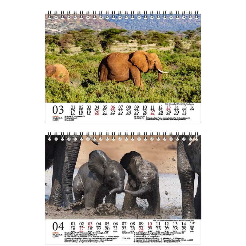 Elephant Magic DIN A5 Desk Calendar for 2022 Elephants Seelenzauber
