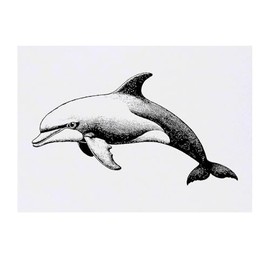 'Single Dolphin' Temporary Tattoo - Water Resistant, Skin-Safe, Non-Toxic Transfer (TO00079867)