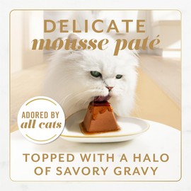 Purina Fancy Feast Gems Pate Mousse with Turkey and with Chicken Wet Cat Food Variety Pack - 4 oz. (Pack of 16)