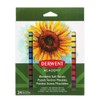Derwent Academy Soft Pastels, Set of 24, 98216
