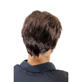 WIG ME UP - GFW1168-6 Men's Wig Men Short Youth Casual Fashion Brown Toupee