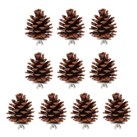 Bird Bite Pine Cones Pine Cones for Christmas Tree Mini Ornaments Mini Christmas Tree Decorations,Safe More Fun Pine Cone Chewing Bird Toy Nut Fix Multifunction for Conure for