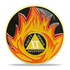 20 Year Sobriety Coin - Alcoholics Anonymous Flame Triangle AA