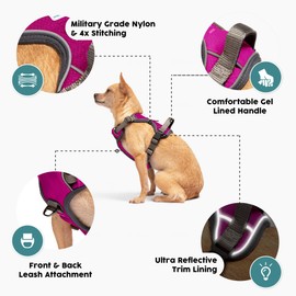 Embark Urban Dog Harness No-Pull Dog Harness for Small Dogs, Medium & Large. 2 Leash Clips, Front & Back with Control Handle, Adjustable Puppy Dog Vest for Any Breed, Soft & Padded for Comfort