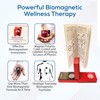 SaveMeMagnets - Biomagnetism Wellness Kit | 6 Therapeutic-Grade Magnets &