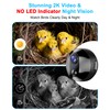 Bird House with Camera Solar Powered,2K HD Wi-Fi Bird Watching,
