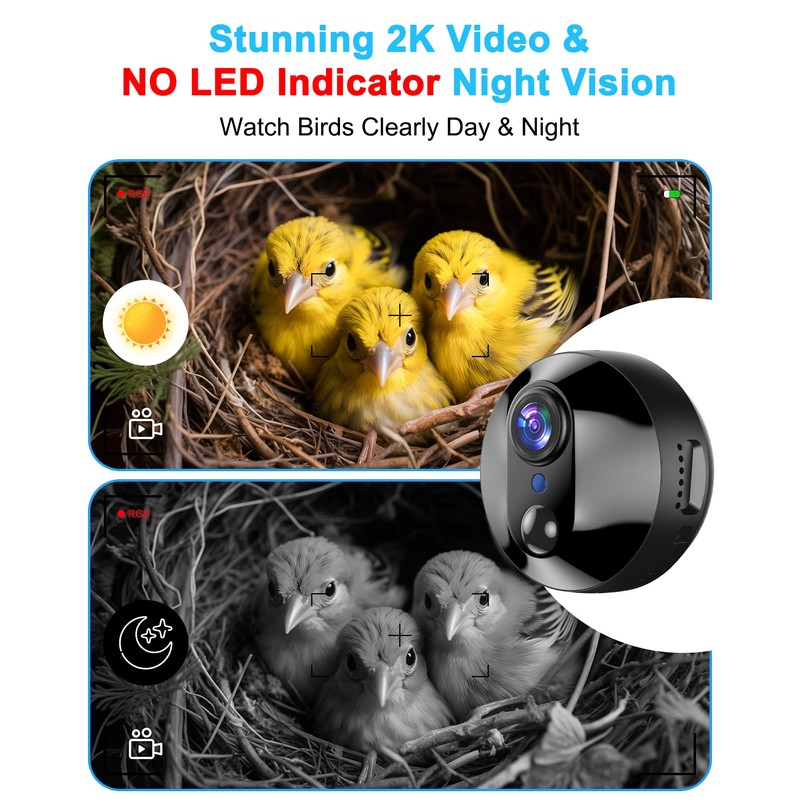 Bird House with Camera Solar Powered,2K HD Wi-Fi Bird Watching,