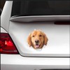 Golden Retriever Sticker, 3D Breakthrough Effect, Reflective, Waterproof, Funny Decoration