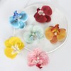 6-Pack Flower Hair Clips - Hawaiian Tropical Orchid Hair Clips