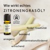Lemongrass: