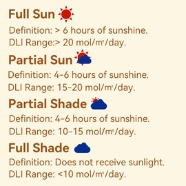 EVO-20 DLI Light Meter – Smart Sunlight Classifier for Garden & Landscape Use | Identifies Full Sun, Partial Sun, Partial Shade & Shade Based on Daily Light Integral