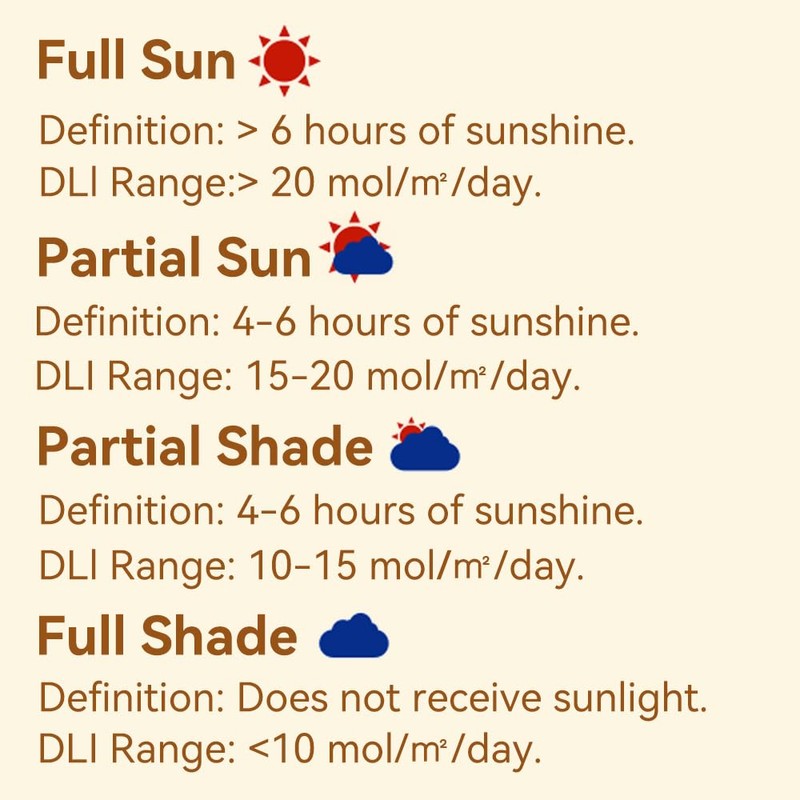 EVO-20 DLI Light Meter – Smart Sunlight Classifier for Garden