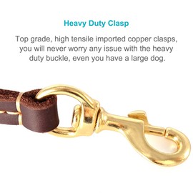 FAIRIWN Genuine Leather Dog Leash 5 Foot Long for Medium Small Dogs Puppy Cuir Laisse Chien Heavy Duty 5Ft Training Leashes 3/8" Width with Brass Buckle K9 Dogs Walking