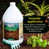 Medina Horticultural Molasses - Nutrient-Rich Plant Juice & Molasses Gallon