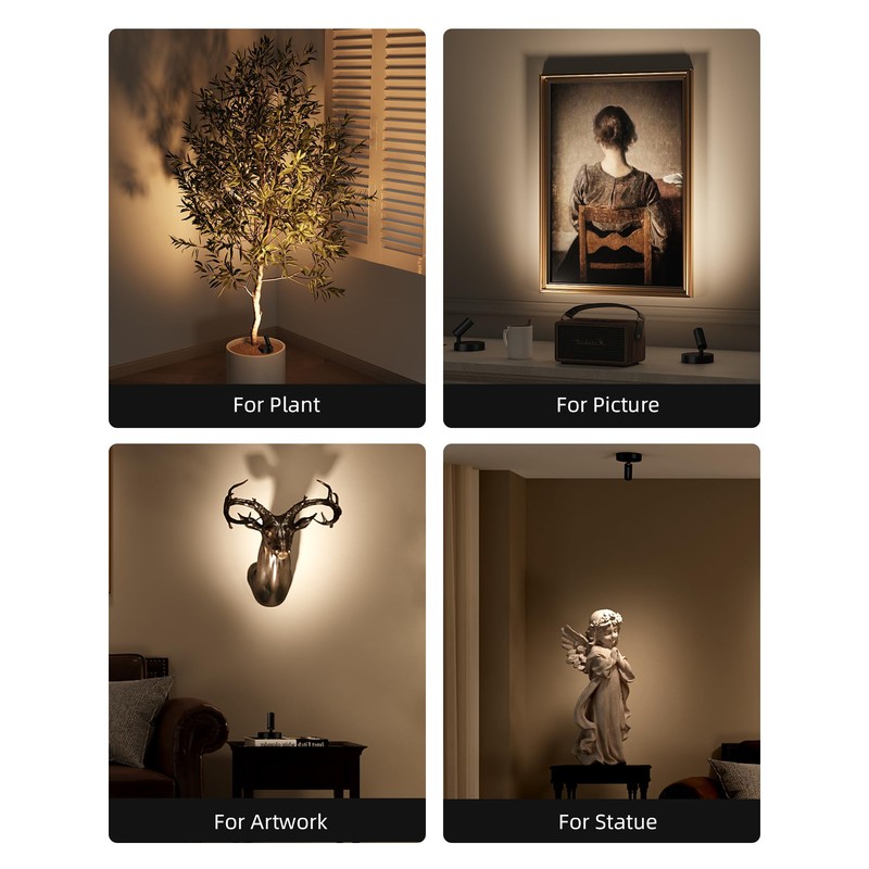 EZVALO Spotlights Indoor with Remote,5500mAh Rechargeable Uplighting Indoor, Wireless LED
