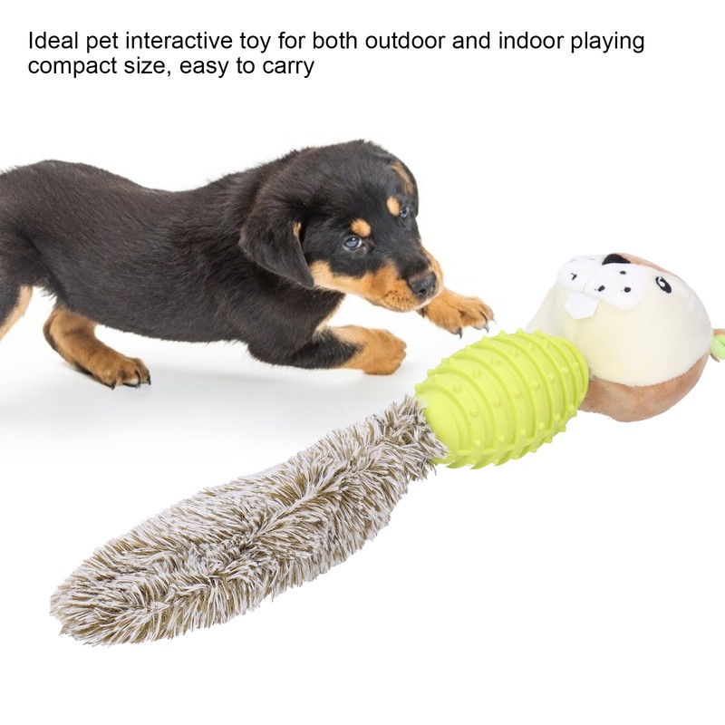 Pet Chew Toys Teeth Cleaning Biting Interactive Training Stuffed Plush