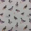 Discover Lifestyle & Fashion Fabrics Mallard Ducks Digital Print Design