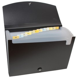 eco-eco A4 50% Recycled 13 Clear Pocket Black Cover Expanding File Organiser - Document Folder - Printed Index Tabs, eco022x2