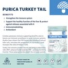 PURICA - Turkey Tail, 30 Capsules