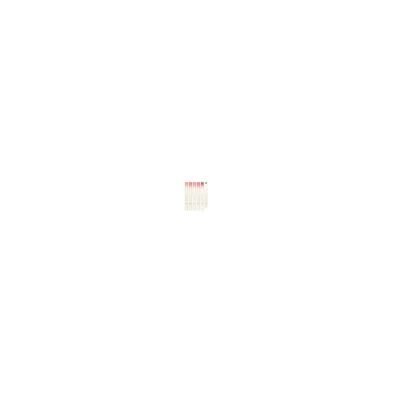 홀리카홀리카 Mellow Blurring Lip Pencil