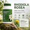 Rhodiola Rosea Organic Supplement—Adapted Herbal Formula Helps Relieve Stress, Improve