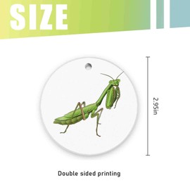 Christmas Ornaments for Family,A Praying Mantis, Funny Ceramic Keepsake Home Xmas Tree Decor