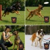 Power Boost Canine Performance Formula – Low Fat, High-Carb Rehydration