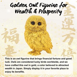 横浜わくわく館 Good Luck owl Decor Figurine Japanese Home Indoor Outdoor feng Shui Decor Wealth Prosperity Money Statue Japanese Shrine Prayer