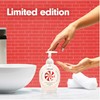 Softsoap Holiday Limited Edition Hand Soap Set, 6 Bottles, Gingerbread,